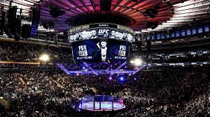 what it means to fight at madison square garden