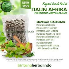 We did not find results for: Harga Daun Afrika Terbaik Juli 2021 Shopee Indonesia