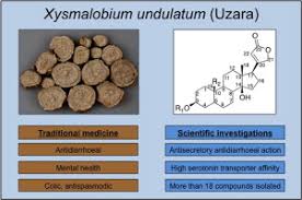 Image result for Xysmalobium