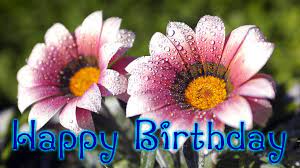In these page, we also have variety of images available. Happy Birthday Flower Wallpapers Top Free Happy Birthday Flower Backgrounds Wallpaperaccess