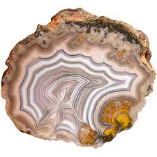 Image result for Colorado Agate 1956 Wayne Works