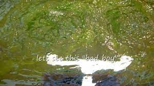 I show and explain my step by step process to h. Diy Submersible Sump Pump For Pond Mega Oxygen Aeration Circulation How To Make Pond Aerator Submersible Sump Pump Sump Pump