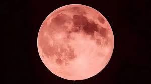 Lua de Morango ilumina o céu hoje; saiba o melhor horário para observar o fenômeno