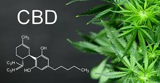 It is a major phytocannabinoid, accounting for up to 40% of the cannabis plant's extract, that binds to a wide variety of physiological targets of the endocannabinoid system within the body. Cbd How New Well Being Enterprises Capitalize On Your Anxiety The Metro Third