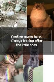 Another Mama Hero Always Looking After The Little Ones In 2020 Little Ones Hero Mama