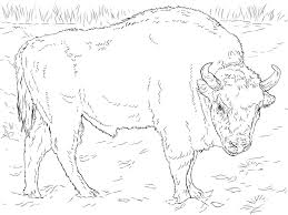 While coloring may not technically be art therapy (according to this psychologist and art therapist), it is a simple, fun, and beneficial way to harmonize the mind and body. Coloring Pages Coloring Pages Buffalo Printable For Kids Adults Free