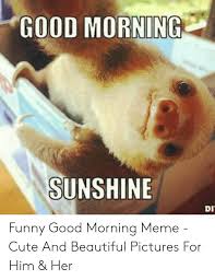 Pictures without captions may be removed by a moderators discretion. Morning Sunshine Funny Memes Good Morning Meme