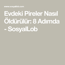 Evdeki Pireler Nasil Oldurulur 8 Adimda Sosyallob Evler Adlar Evcil Hayvanlar