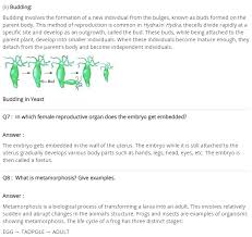 Ncert Solutions For Class 8 Science Reproduction In Animals Class 8 Science Solutions