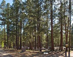 Maybe you would like to learn more about one of these? Kaibab Camper Village Rv Tent Campground North Rim Of Grand Canyon Az