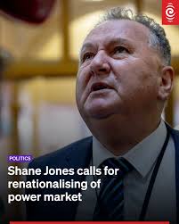 I agree with Shane Jones, for once. What's the catch?