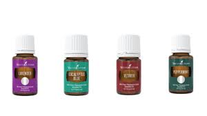 I'll show you how to order, address your frequently asked questions (faqs), show you how to get the best deal, explain essential rewards, and share our team exclusives with you. Bisa Tingkatkan Konsentrasi Ini 4 Manfaat Peppermint Bagi Tubuh Kumparan Com