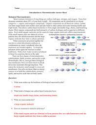 The type of molecule that holds an organism's genetic information is called ___ and belongs in the class of macromolecules known as ____. Macromolecule Worksheet Answer Key Doc