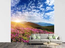 Tapete berglandschaft / misty mountains wall mural mit bildern fototapete schlafzimmer schlafzimmer schlafzimmer inspirationen. Fototapete Blumige Berglandschaft Jetzt Bestellen