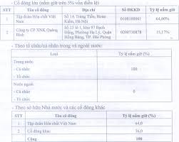 CÔNG TY CỔ PHẦN DAP-VINACHEM