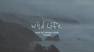 Onerepublic Wild Life Lyric Video Youtube