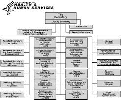 Images Of Health And Human Services Organizational Chart