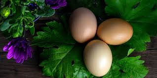 If it goes down but rests on a point, then also it is good; Do Hard Boiled Eggs Go Bad New Info How Long Does Eggs Last