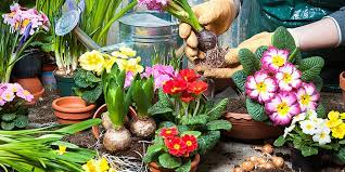 Im frühling geht die pflanzzeit für wurzelnackte gehölze und rosen zu ende. Fruhling Im Garten Tipps Fur Die Fruhjahrsbepflanzung