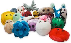 Giant Microbes Best Sellers Best Gag Gifts Giant Microbes Doctor Gifts