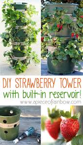 Via a piece of rainbow. 19 Smart Diy Ideas For Growing Strawberries In Small Space