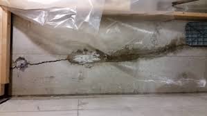 We already discussed how a wall that is laterally failing they often look like the concrete is flaking off, and they're typically the result of excess water corroding your rebars. Waterproofing Foundation Cracks Rcc Waterproofing Toronto Wet Basement