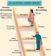 This hierarchy showcases the career level from the beginning to the highest possible career level attainable in the industry. Accounting Career Assignments Mrs Horwitz S Web Site
