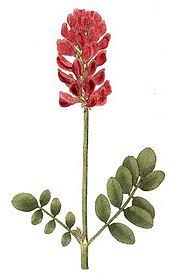 We did not find results for: Into The Wild Wikipedia