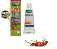 Bucatarii modulare, moderne, clasice in credit 0% si livrare gratuita. Prevenirea Si Controlul Gandacilor De Bucatarie Einsecticide Ro