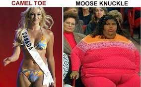 History's cool kids, looking fantastic! Camel Toe Vs Moose Knuckle