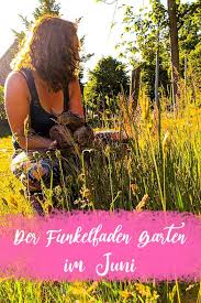 Der Funkelfaden Garten Im Juni Pflanzen Mulchen Funkelfaden In 2020 Kohlrabi Pflanzen Pflanzen Garten