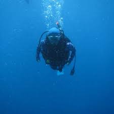 Naheed Tabassum (@NaheedKAUST)