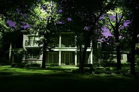 2 Really Cool Landscape Lighting Ideas For Your Front Yard R A Landscaping