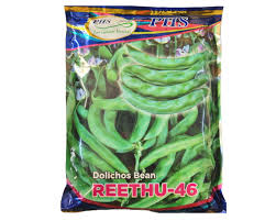 Image result for Dolichos