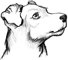 Grey kitchens ideas image cartoon dog face png. How To Draw A Terrier S Face Dog S Face With Easy Steps How To Draw Step By Step Drawing Tutorials