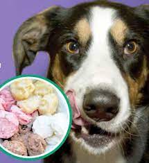Frozen Yogurt For Dogs Recipe