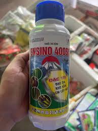 Ensino 400SC