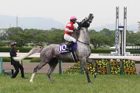 宝塚記念, 横山典弘, ゴールドシップ 今週末の阪神 競 馬場 では 宝塚記念 （g1）が開催される。 å®å¡šè¨˜å¿µ 2015 ã‚´ãƒ¼ãƒ«ãƒ‰ã‚·ãƒƒãƒ—ï¼'å¼·ã®ç¢ºçŽ‡ã¯ ç¥žç«¶é¦¬ãƒžã‚¬ã‚¸ãƒ³