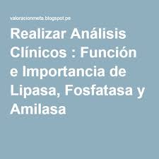 Realizar Analisis Clinicos Funcion E Importancia De Lipasa Fosfatasa Y Amilasa