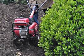 Made from natural and ground to 1 to ½ range particles and then kiln fires. Expanded Shale Dallas Garden Buzz