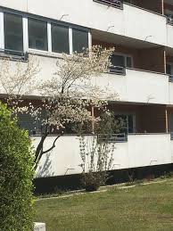 Freimann · am samstag, 8. 2 Zimmer Wohnung Zu Vermieten Lutzelsteiner Strasse 18 80939 Munchen Freimann Mapio Net
