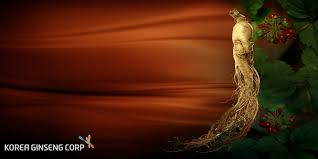 4 quan niệm sai lầm về nhân sâm đỏ Hàn Quốc – JungKwanJang