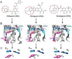 Image result for Integrase Strand Transfer Inhibitor