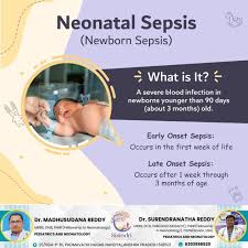 Image result for Neonatal Sepsis