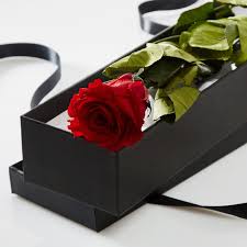 Our involvement in floriculture extends back almost 30 years. Wholesale Dried Flowers And Biodegradable Petals Lsf