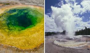 Old faithful isle is a large island in the wilds. Yellowstone Volcano Eruption Long Dormant Hot Spring Erupts Near Old Faithful World News Express Co Uk