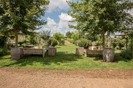 Roma pizza and pasta is continuing to expand their locations in the middle tennessee area. Cestini E Location Picnic A Roma L Orto Di Alberico