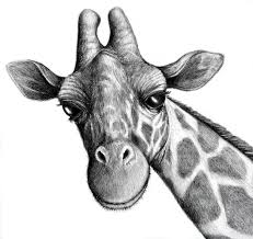 Cuscino in poliester economico ed economico. Sklxapplications Cuscini Con Disegni Di Animali Da Disegnare Disegni Da Colorare Animali Cani Immagini Cane Disegni