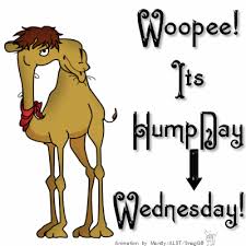 Hump icon in trendy design style. Free Email Clip Art Hump Day Page 1 Line 17qq Com