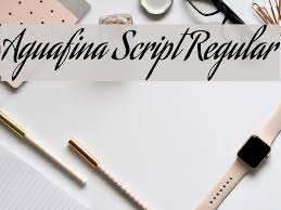 I think the combination of raleway and the fairly ornate old stye goudy bookletter 1911 make for a super classy pair. Aguafina Script Regular Font Ffonts Net